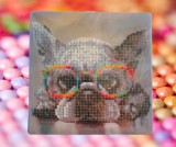 BASIC Gyémántfestő szett, szemüveges francia bulldog, 20 x 20 cm