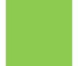 COLORAMA Colormatt pvc háttér 100x130 zöld