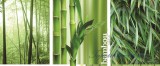 Consalnet Bamboo poszter, fotótapéta 2-180VEP /250x104 cm/