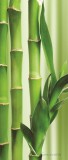 Consalnet Bamboo vlies poszter, fotótapéta 2-180VET /91x211 cm/