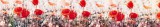 Dimex POPPY FLOWERS öntapadós konyhai poszter, 350x60 cm