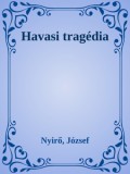 Efficenter Kft. Nyírő József: Havasi tragédia - könyv