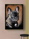 Elegáns fekete francia bulldog fali kép 30x40 cm