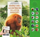 HVG könyvek Ismerd meg az esőerdei állatok hangját!