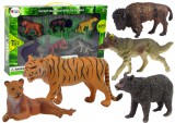 KicsiKocsiBolt Afrikai és erdei állatok,medve, jaguár,tigris,bölény,oroszlán 12281