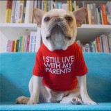 "Még mindig a szüleimmel élek" kutyapóló, piros, XL-es