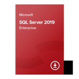 Microsoft SQL Server 2019 Enterprise (2 cores) digital certificate