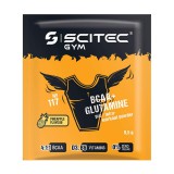 Scitec Nutrition BCAA+Glutamine (9,5 gr.)