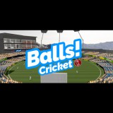 stickee Balls! Virtual Reality Cricket (PC - Steam elektronikus játék licensz)