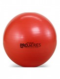 Thera Band ProSeries Premium fitness labda 55 cm
