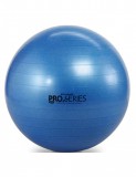 Thera Band ProSeries Premium fitness labda 75 cm