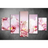 Többrészes Rózsaszín Orchideák vászonkép 067 - (választható formák) tvi-067