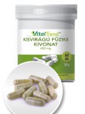 VitalTrend Vital Trend Kisvirágú füzike kivonat 400 mg (60 kapszula)