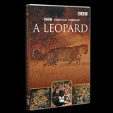 A leopárd - DVD