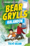 Aión Publishing Kft. Bear Grylls: Bear Grylls Kalandok - Folyó Kaland - könyv