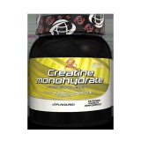 AllSports Labs Creatine Monohydrate (500 gr.)