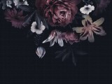 AS Fotótapéta, Virágok éjszaka, Prémium, 371x280 cm