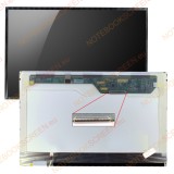 AU Optronics B141EW02 V.0 kompatibilis fényes notebook LCD kijelző