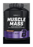 BioTech USA Muscle Mass (2,27 kg)