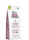 Brit Care Grain-free Junior Large Breed Salmon & Potato 1 kg