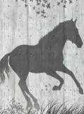 Consalnet Ló poszter, fotótapéta, Vlies (206x275 cm, álló)