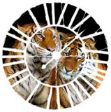 Consalnet Tigrisek az óra mögött vlies poszter, fotótapéta 21403VEZ1 /208x208 cm/