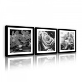 Consalnet Vászonkép 3 darabos, Orchideák és rózsa fekete-fehér, 3 db 25x25 cm méret