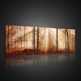 Consalnet Vászonkép 3 darabos, Őszi erdő, 3 db 25x25 cm méret