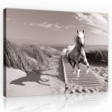 Consalnet Vászonkép, Ló a parton, 100x75 cm méretben