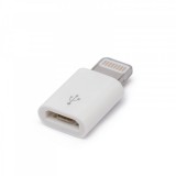 Delight micro USB anya - Apple Lightning apa adapter (55448)