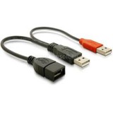Delock USB adat- és hálózati kábel (DL65306)