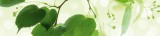 Dimex GREEN LEAVES öntapadós konyhai poszter, 260x60 cm
