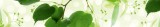 Dimex GREEN LEAVES öntapadós konyhai poszter, 350x60 cm