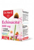 Dr. Herz echinacea 500 mg+c-vitamin+szerves cink kapszula 60 db