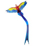 EOLO 3D pop-up szélsárkány -  papagáj