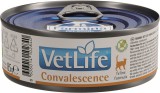 FARMINA Vet Life Cat Convalescence konzerv 85 g