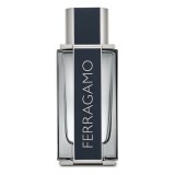 Férfi Parfüm Salvatore Ferragamo EDT Ferragamo (100 ml)