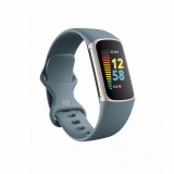 Fitbit Charge 5 Steel Blue with Platinum Stainless Steel FB421SRBU