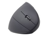 GEMBIRD MUSW-ERGO-01 Gembird Ergonomic wireless optical mouse MUSW-ERGO-01, 1600 DPI, USB, black