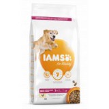 Iams Dog Senior Large Breed, Chicken 12 kg