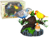 KicsiKocsiBolt Éneklő mozgó színes fa papagájok 14089