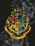 mese Harry Potter Logo polár takaró