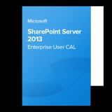 Microsoft SharePoint Server 2013 Enterprise User CAL OLP NL, 76N-03701 elektronikus tanúsítvány