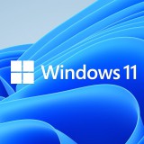 Microsoft Windows 11 Professional 64-bit ENG DSP OEI DVD (FQC-10528) (FQC-10528) - Operációs rendszer