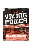 Netamin Viking Power (4 kap.)