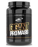 Pro Nutrition Gigant Pro Mass (3 kg)