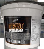 Pro Nutrition Gigant Pro Mass (5 kg)