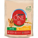 Purina ONE Mini/Small Active - száraztáp (csirke,rizs) kistestű kutyáknak részére (800g)