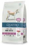 Quattro Adult Lamb Raw Coated 12kg