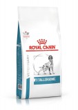 Royal Canin Anallergenic - száraz gyógytáp felnőtt kutyák részére tápanyag intolerancia csökkentésére 8 kg kutyatáp